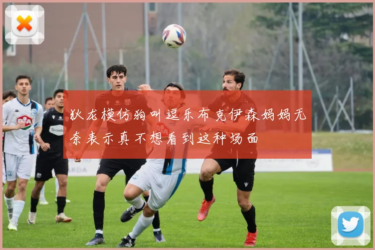 狄龙模仿狗叫逗乐布克伊森妈妈无奈表示真不想看到这种场面