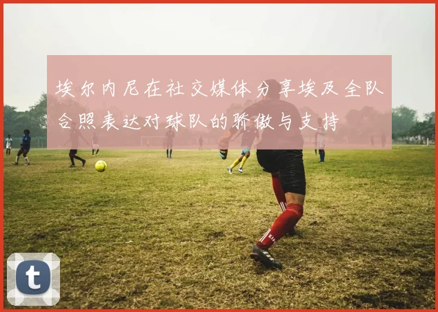 埃尔内尼在社交媒体分享埃及全队合照表达对球队的骄傲与支持